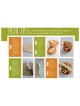 Starters & Sides Made Easy - Paperback | Books | Judaica